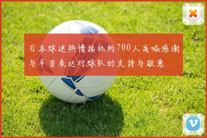 日本球迷热情接机约700人高喊感谢与辛苦表达对球队的支持与敬意